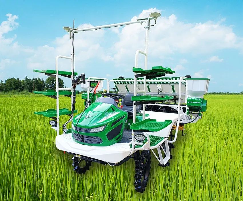 2ZG-6Y高速插秧机