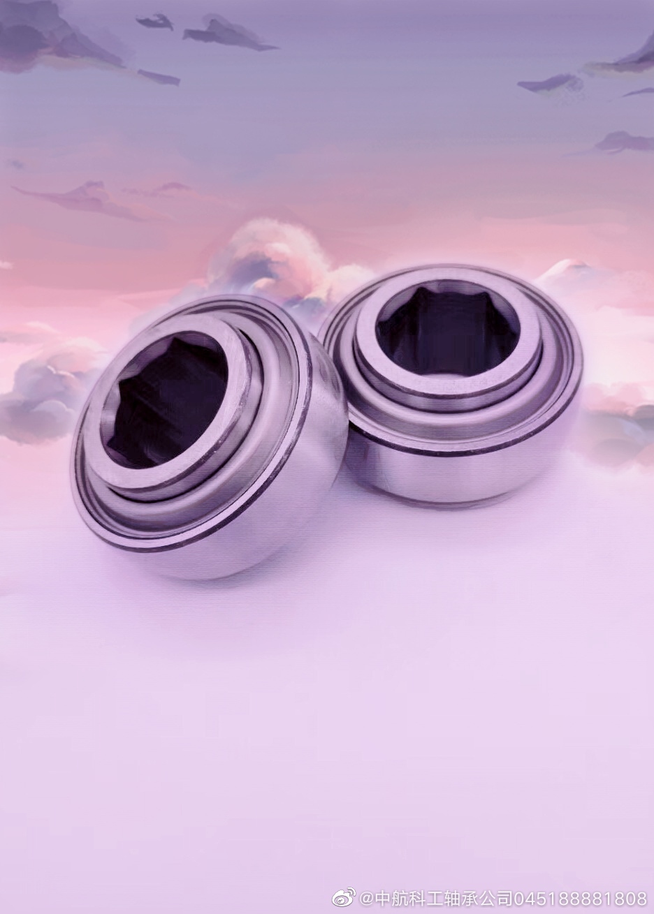 205KRRB2免维护轴承