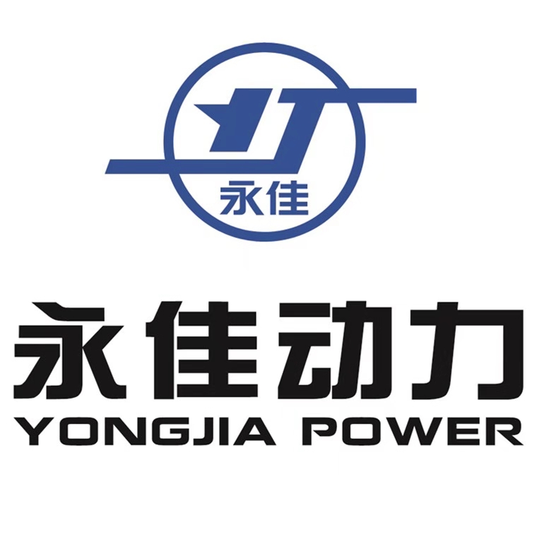 山东永佳动力股份有限公司